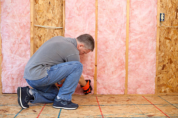 Best Insulation Maintenance and Repair in Loomis, CA